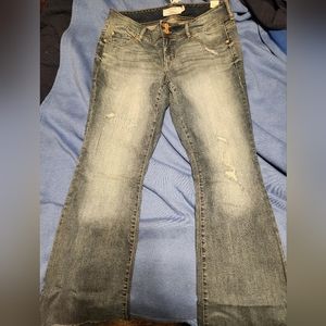 Torrid Flare Jeans NWT-Size 18